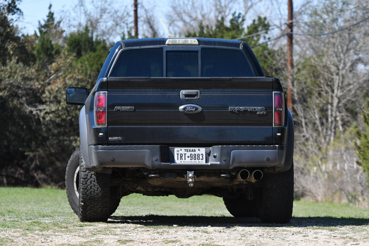 raptor