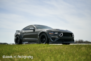 Chasing Shadows: A Mustang's Magnificent Moment During Solar Eclipse
