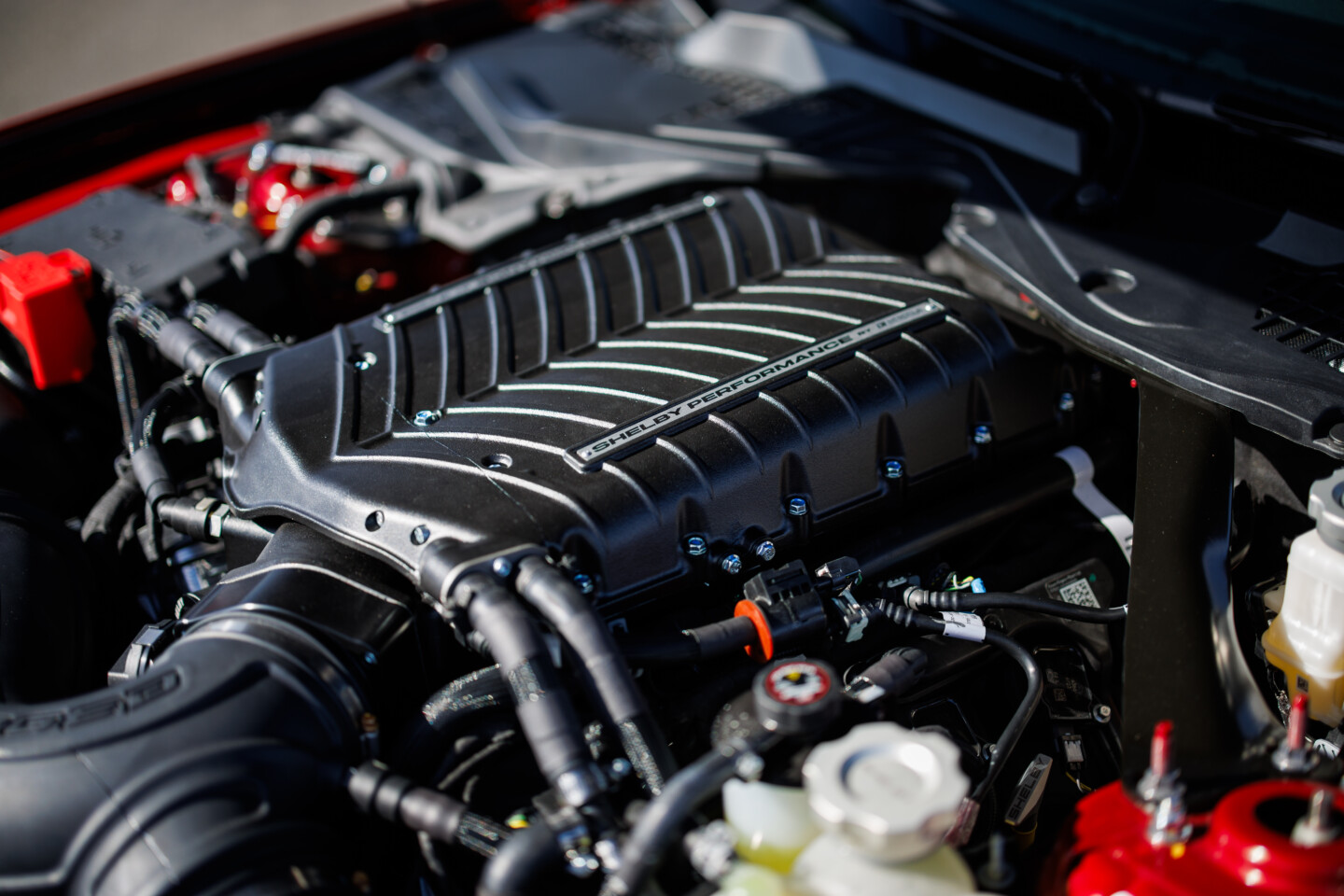 Shelby Super Snake