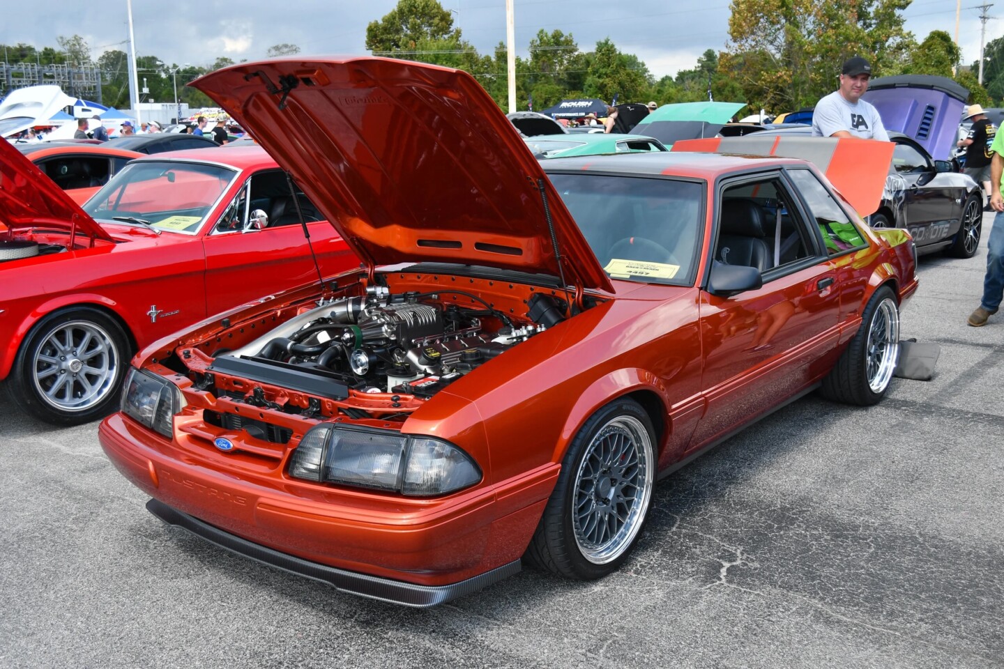 Mustang Week: Texas