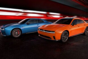 Electric Charger Daytona Spotted Frolicking In The Wild