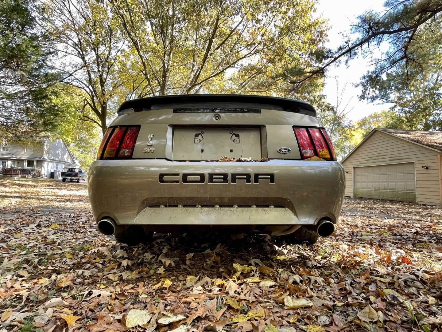 2001 Cobra
