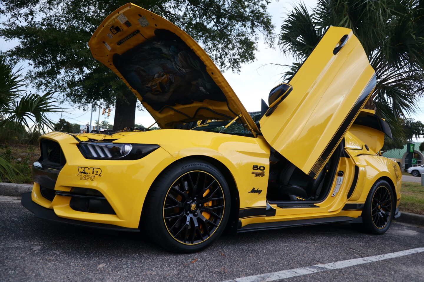 Mustang Week 2024