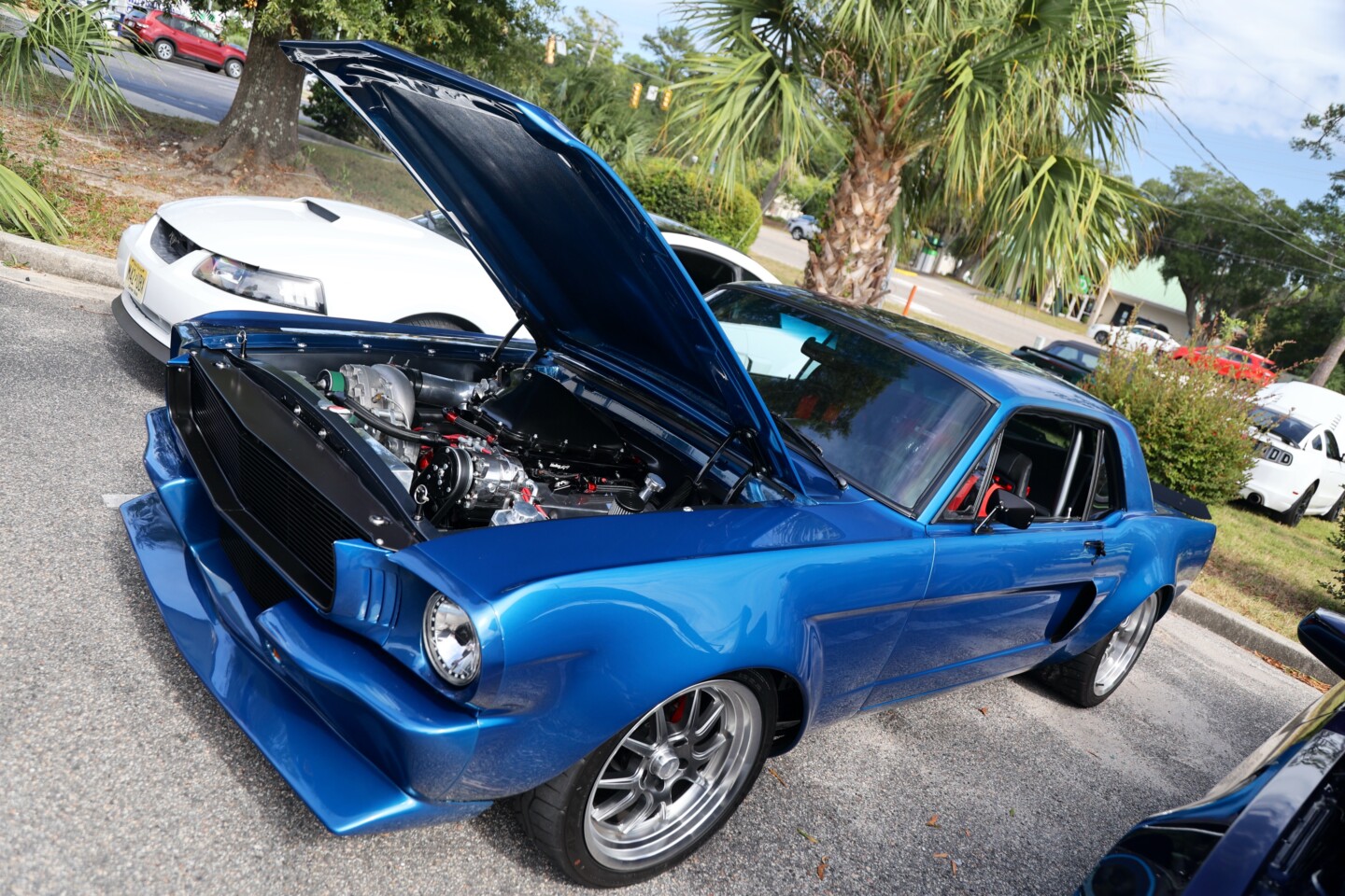 Mustang Week 2024