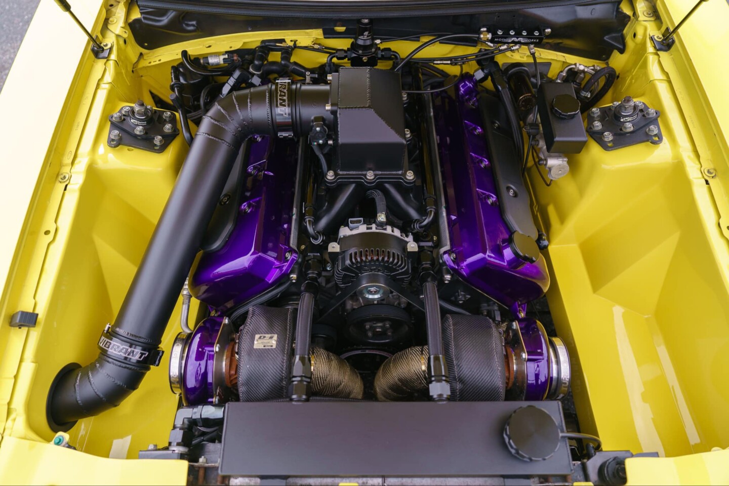 Cobra