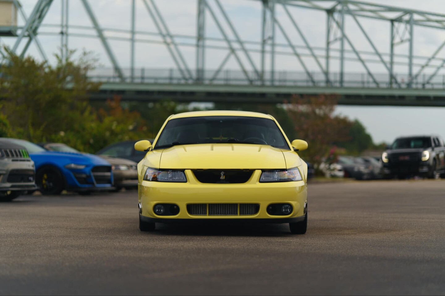 Cobra