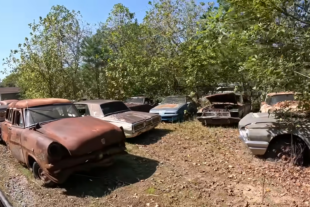 Forgotten Muscle: Old Car City's Automotive Graveyard