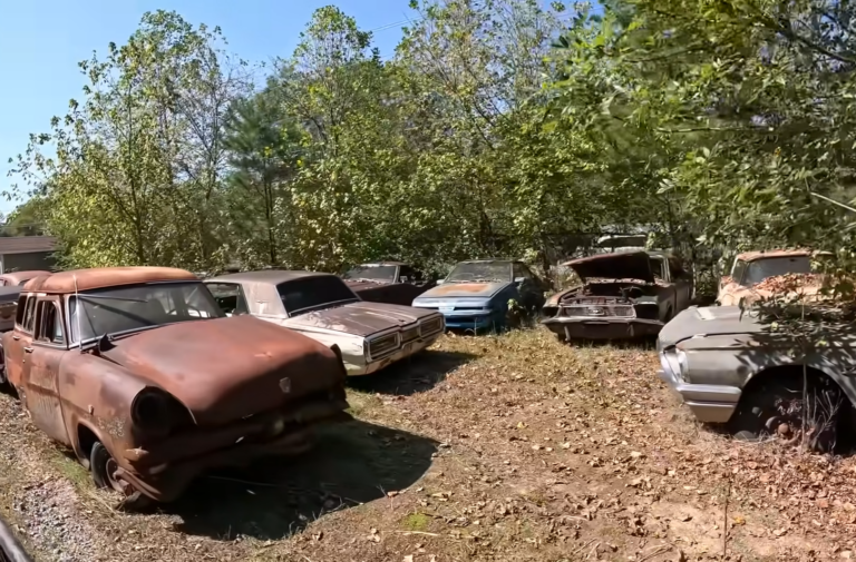Forgotten Muscle: Old Car City's Automotive Graveyard