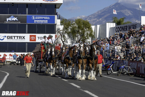 photo-extra-the-in-n-out-burger-nhra-finals-2024-11-21_09-17-38_114544