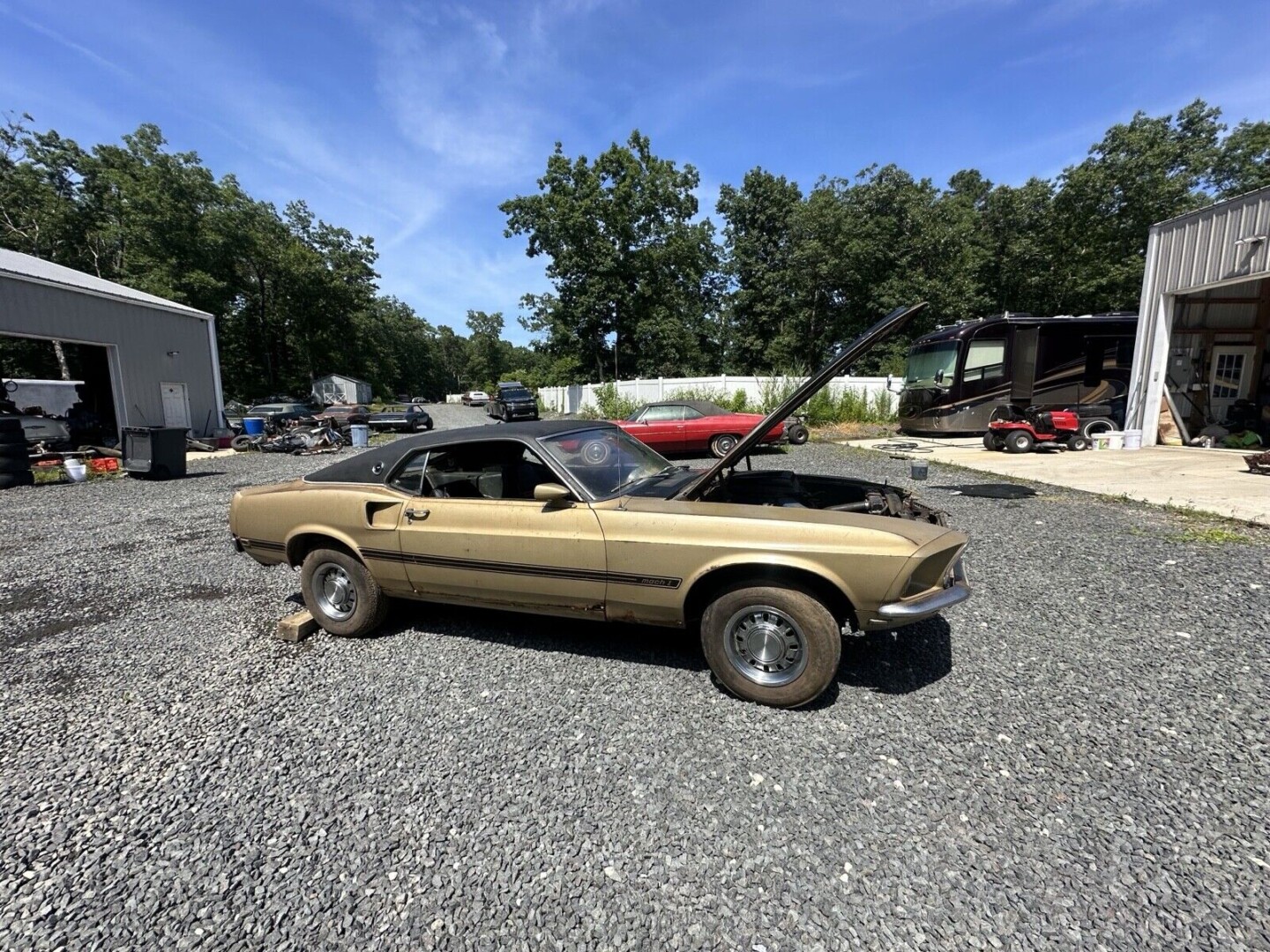 1969 Mustang