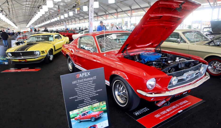 Seven Standout Stallions From Mecum’s Massive Florida Auction
