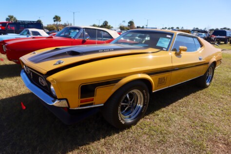 seven-standout-stallions-from-mecums-massive-florida-auction-2025-01-15_13-17-13_419952