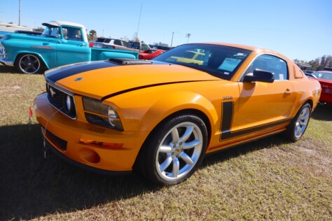 seven-standout-stallions-from-mecums-massive-florida-auction-2025-01-15_13-17-20_880407