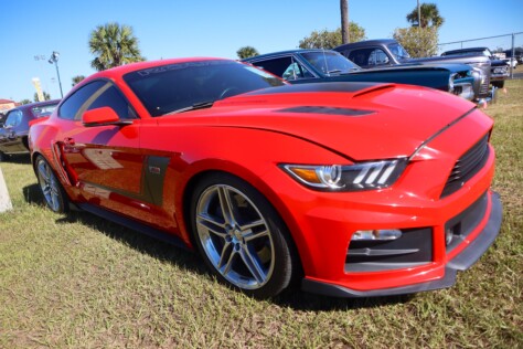 seven-standout-stallions-from-mecums-massive-florida-auction-2025-01-15_13-17-42_992863