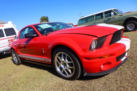 seven-standout-stallions-from-mecums-massive-florida-auction-2025-01-15_13-17-50_383987