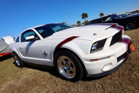 seven-standout-stallions-from-mecums-massive-florida-auction-2025-01-15_13-17-57_848093