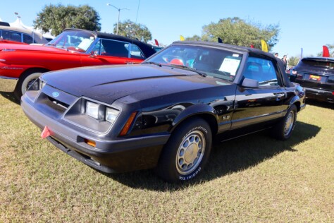 seven-standout-stallions-from-mecums-massive-florida-auction-2025-01-15_13-18-05_426511
