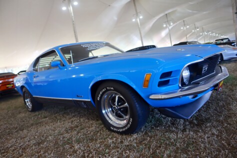 seven-standout-stallions-from-mecums-massive-florida-auction-2025-01-15_13-18-12_892879