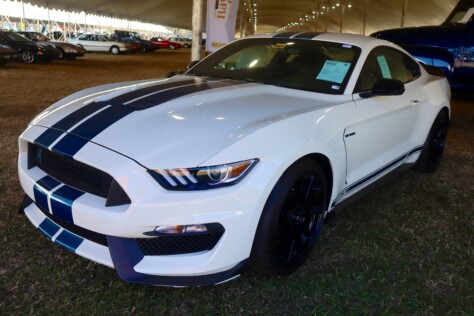 seven-standout-stallions-from-mecums-massive-florida-auction-2025-01-15_13-18-20_050017
