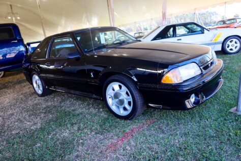 seven-standout-stallions-from-mecums-massive-florida-auction-2025-01-15_13-18-27_263177