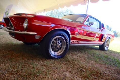 seven-standout-stallions-from-mecums-massive-florida-auction-2025-01-15_13-18-34_490189
