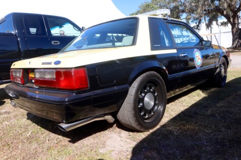 seven-standout-stallions-from-mecums-massive-florida-auction-2025-01-15_13-18-49_479677