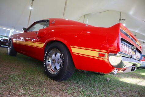 seven-standout-stallions-from-mecums-massive-florida-auction-2025-01-15_13-18-56_819233