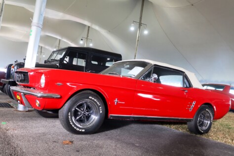 seven-standout-stallions-from-mecums-massive-florida-auction-2025-01-15_13-19-25_792643