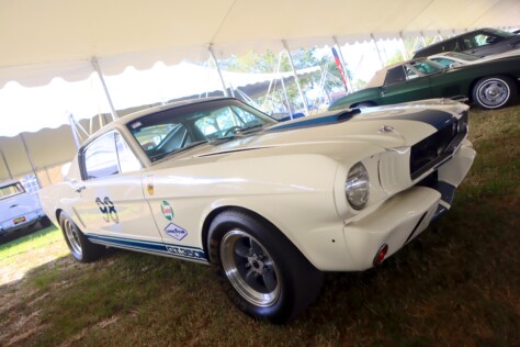 seven-standout-stallions-from-mecums-massive-florida-auction-2025-01-15_13-19-32_894435