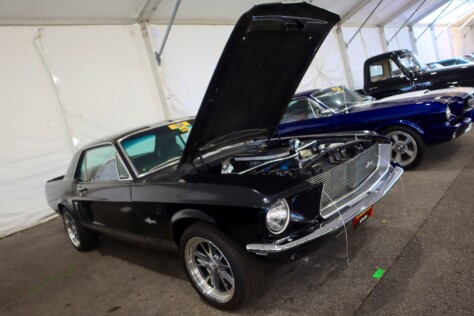 seven-standout-stallions-from-mecums-massive-florida-auction-2025-01-15_13-19-47_175862