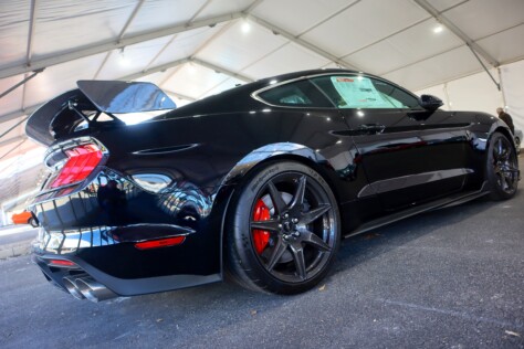 seven-standout-stallions-from-mecums-massive-florida-auction-2025-01-15_13-19-54_138818
