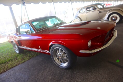 seven-standout-stallions-from-mecums-massive-florida-auction-2025-01-15_13-20-15_617669