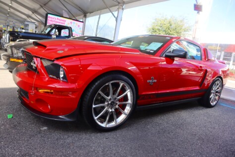 seven-standout-stallions-from-mecums-massive-florida-auction-2025-01-15_13-20-45_053640
