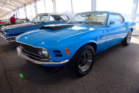 seven-standout-stallions-from-mecums-massive-florida-auction-2025-01-15_13-20-52_329228