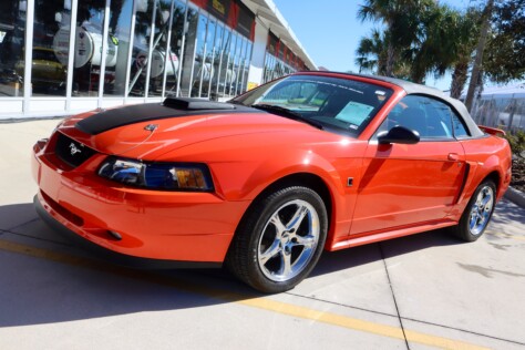 seven-standout-stallions-from-mecums-massive-florida-auction-2025-01-15_13-21-14_693418