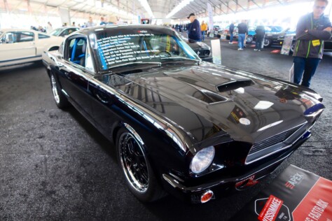 seven-standout-stallions-from-mecums-massive-florida-auction-2025-01-15_13-21-36_475270