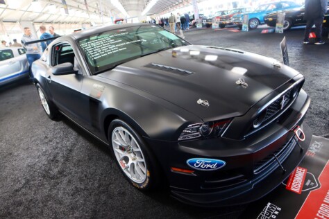 seven-standout-stallions-from-mecums-massive-florida-auction-2025-01-15_13-21-43_608061
