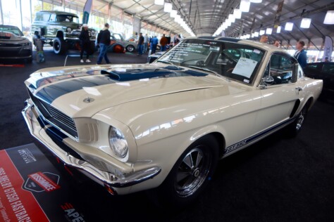 seven-standout-stallions-from-mecums-massive-florida-auction-2025-01-15_13-21-58_021390