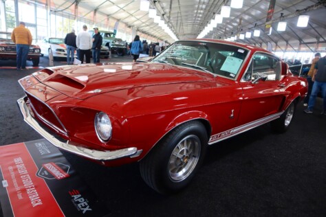 seven-standout-stallions-from-mecums-massive-florida-auction-2025-01-15_13-22-05_353863