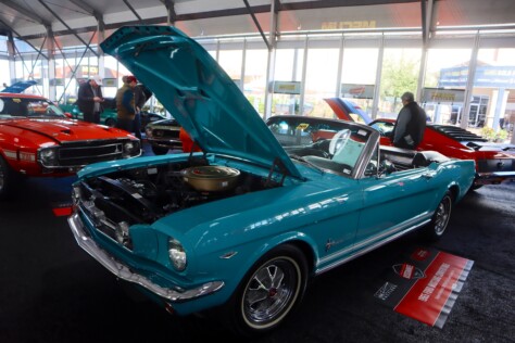 seven-standout-stallions-from-mecums-massive-florida-auction-2025-01-15_13-22-19_789616