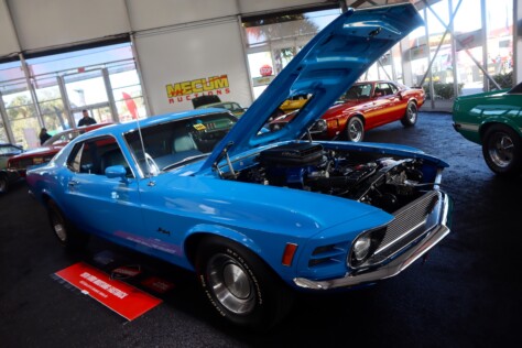 seven-standout-stallions-from-mecums-massive-florida-auction-2025-01-15_13-22-34_372044