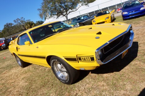 seven-standout-stallions-from-mecums-massive-florida-auction-2025-01-15_13-24-07_306044