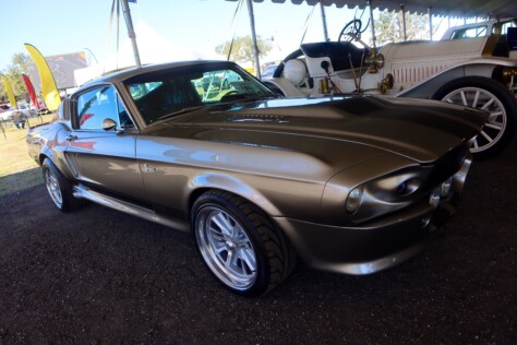 seven-standout-stallions-from-mecums-massive-florida-auction-2025-01-15_13-24-14_557354