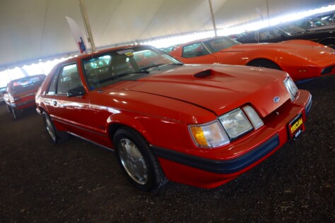 seven-standout-stallions-from-mecums-massive-florida-auction-2025-01-15_13-24-42_810949