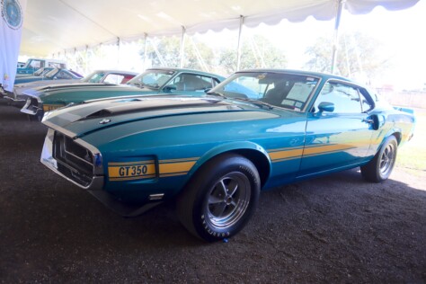 seven-standout-stallions-from-mecums-massive-florida-auction-2025-01-15_13-24-49_990110