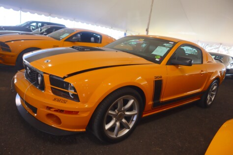 seven-standout-stallions-from-mecums-massive-florida-auction-2025-01-15_13-24-57_093730