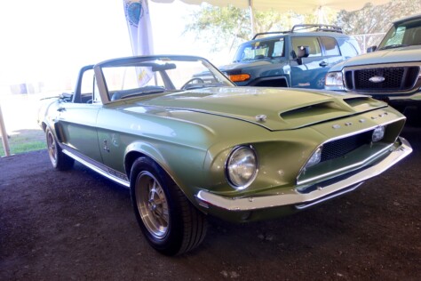 seven-standout-stallions-from-mecums-massive-florida-auction-2025-01-15_13-25-11_735478