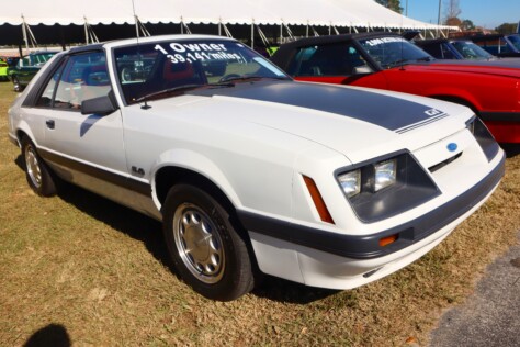 seven-standout-stallions-from-mecums-massive-florida-auction-2025-01-15_13-25-27_542275