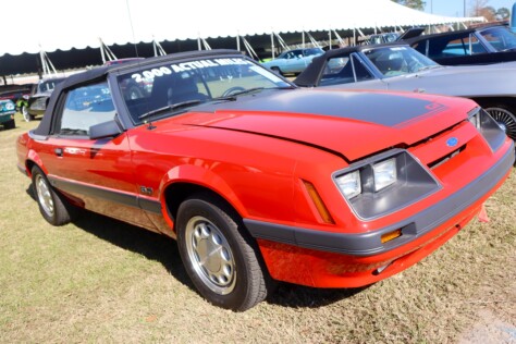 seven-standout-stallions-from-mecums-massive-florida-auction-2025-01-15_13-25-34_989739