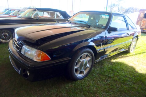 seven-standout-stallions-from-mecums-massive-florida-auction-2025-01-15_13-25-49_299835